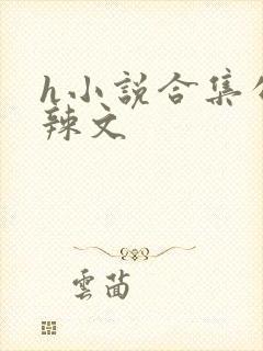h小说合集公交辣文