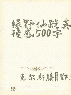 绿野仙踪英语读后感500字
