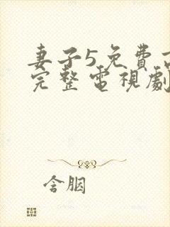 妻子5免费高清完整电视剧
