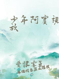 少年阿宾视频播放
