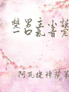 双男主小说推荐一口气看完