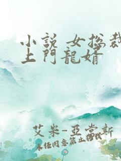 小说 女总裁的上门龙婿