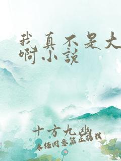 我真不是大反派啊小说