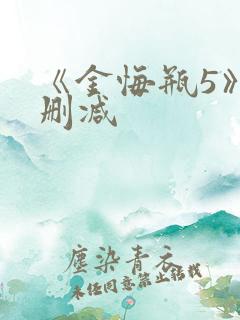 《金悔瓶5》未删减