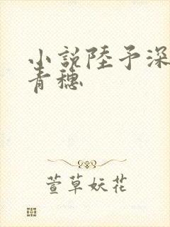 小说陆予深和乔青穗
