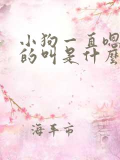 小狗一直嗯嗯嗯的叫是什么意思