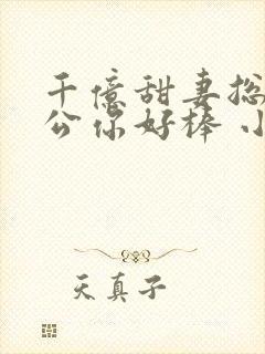 千亿甜妻总裁老公你好棒 小说
