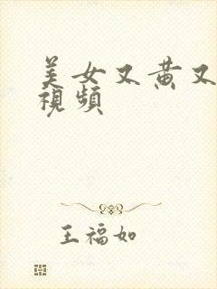 美女又黄又高潮视频