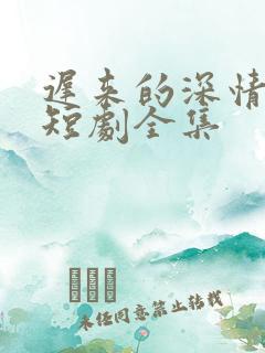 迟来的深情许墨短剧全集
