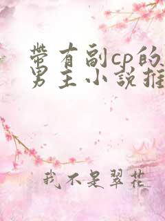 带有副cp的双男主小说推荐完结文