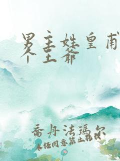 男主姓皇甫且是个王爷