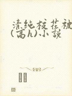 清纯校花被调教(高h)小说