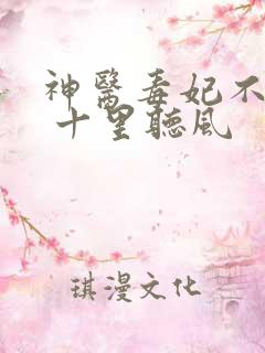 神医毒妃不好惹 十里听风