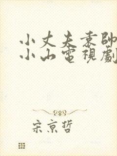 小丈夫袁帅和陆小山电视剧免费观看
