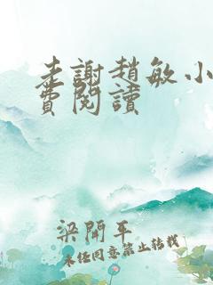 老谢赵敏小说免费阅读