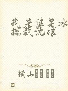 我老婆是冰山女总裁沈浪