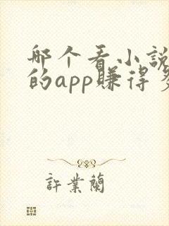 哪个看小说赚钱的app赚得多