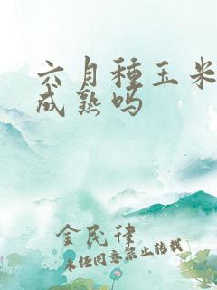 六月种玉米还能成熟吗