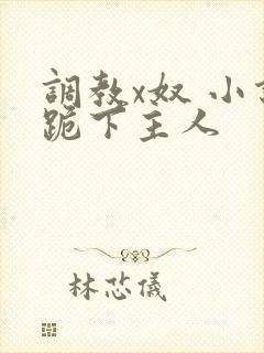 调教x奴 小说跪下主人