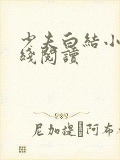 少夫白结小说在线阅读