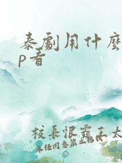 泰剧用什么app看