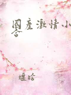 国产激情小说综合