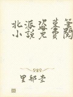 北派盗墓笔记 小说免费阅读全集