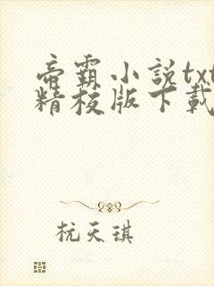 帝霸小说txt精校版下载