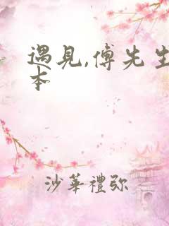 遇见,傅先生完本