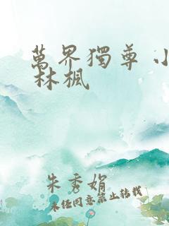 万界独尊 小说 林枫