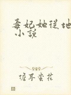 毒妃她从地狱来 小说