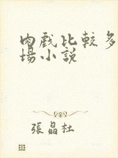 肉戏比较多的官场小说