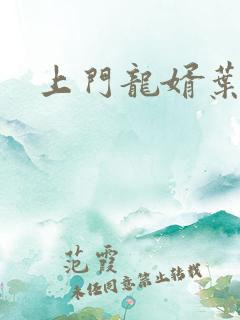 上门龙婿叶辰最
