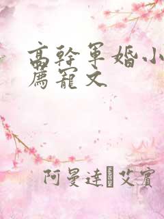 高干军婚小说推荐宠文