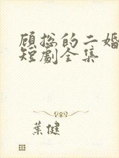 顾总的二婚甜妻短剧全集