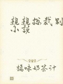 亲亲总裁别太坏小说