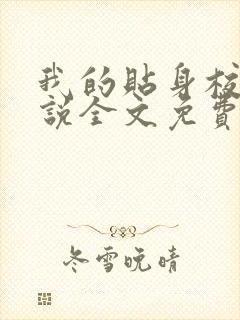 我的贴身校花小说全文免费阅读免费