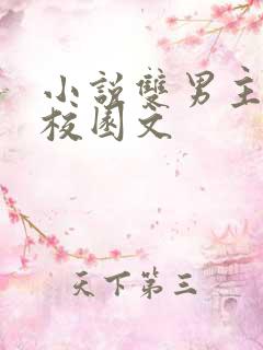 小说双男主推荐校园文