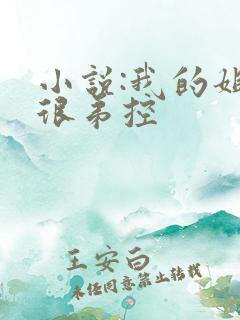 小说:我的姐姐很弟控
