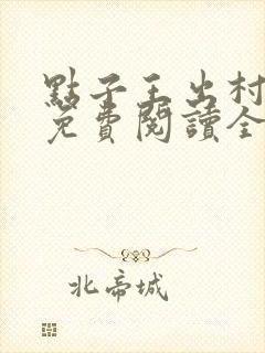 点子王出村全本免费阅读全文