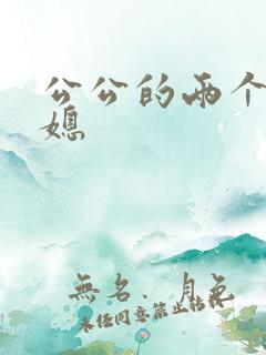 公公的两个好儿媳
