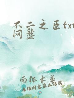 不二之臣txt网盘