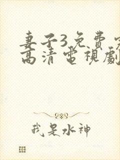 妻子3免费完整高清电视剧在线看