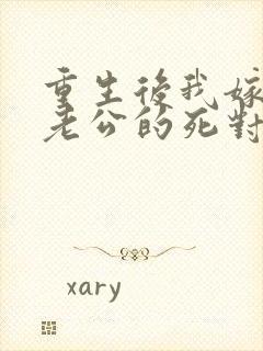重生后我嫁给了老公的死对头 短剧