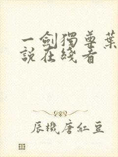 一剑独尊叶玄小说在线看