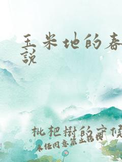 玉米地的春光小说