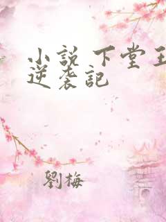 小说 下堂王妃逆袭记