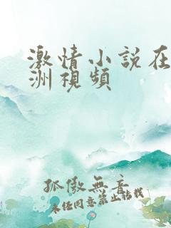 激情小说在线亚洲视频