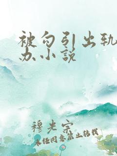 被勾引出轨怎么办小说