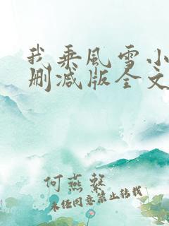 我乘风雪小说未删减版全文阅读
